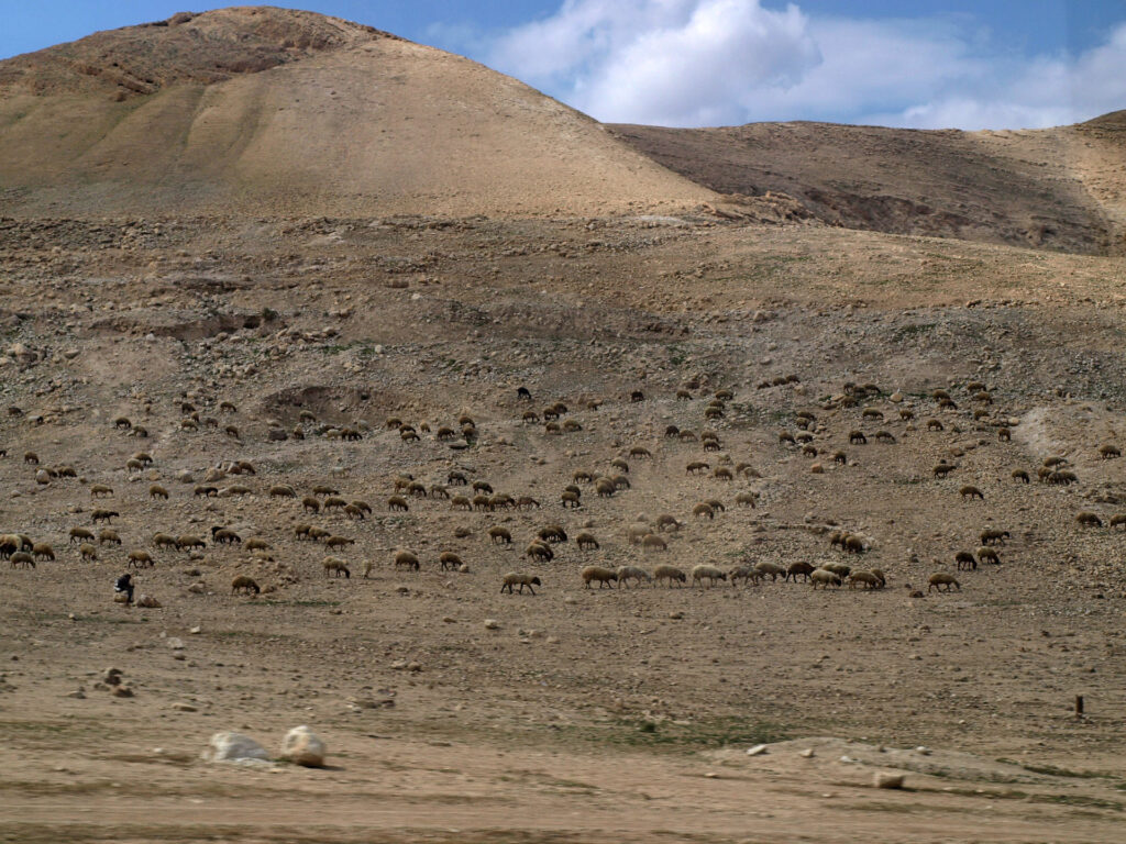Palestinian family evacuating home in West Bank amid tensions realistic photojournalism