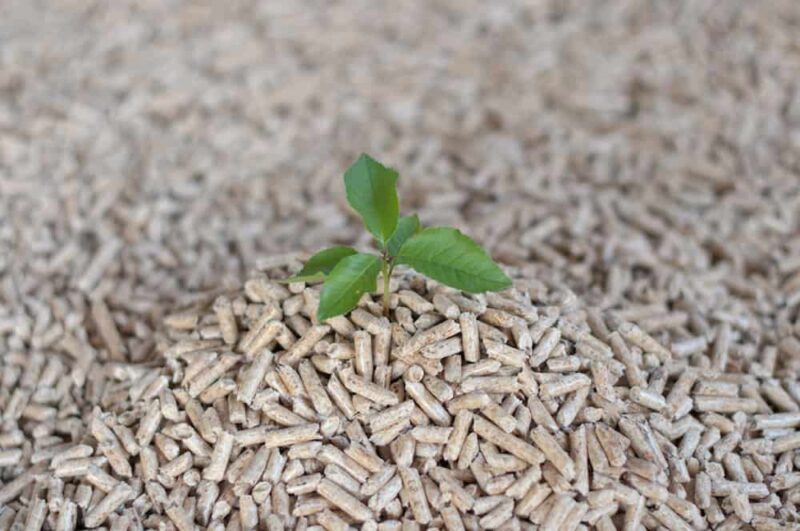 Ενέργεια από βιομάζα. Παραγωγή ενέργειας από βιομάζα.