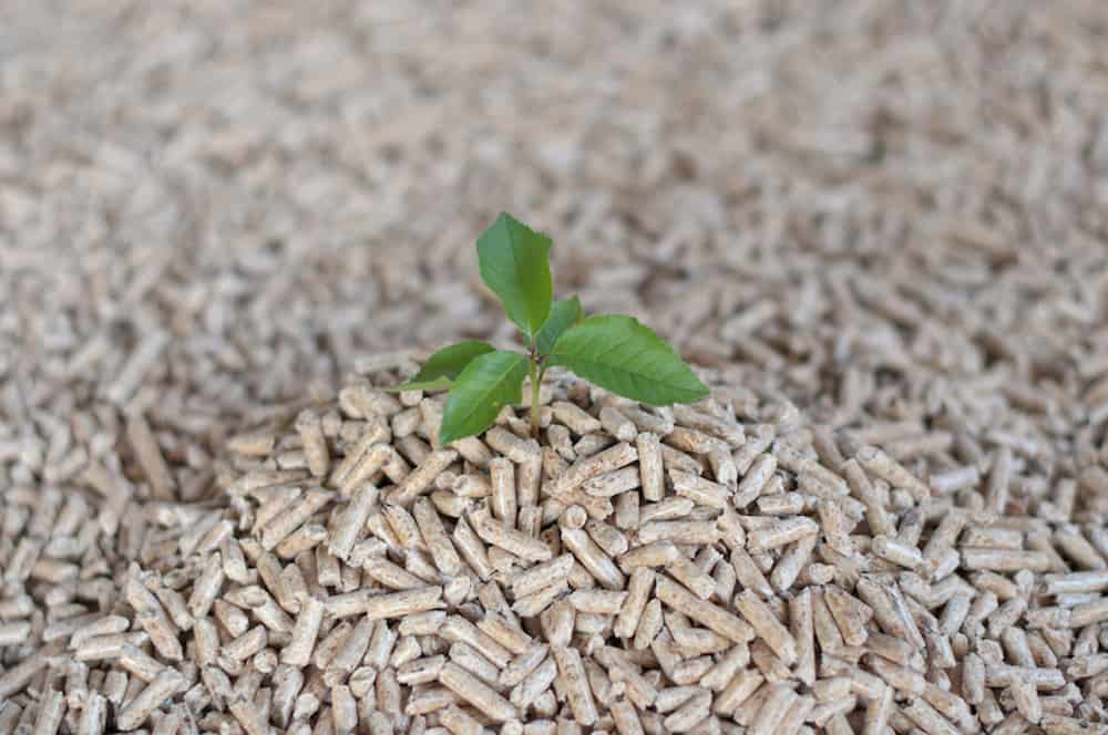 Ενέργεια από βιομάζα. Παραγωγή ενέργειας από βιομάζα.