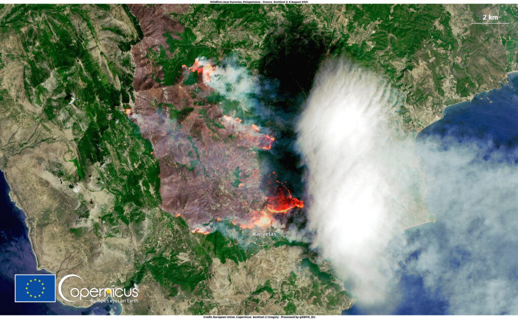 Scientists ուսումնասիր burned forest in Western Greece wildfire aftermath field research